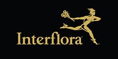 Interflora IE logo